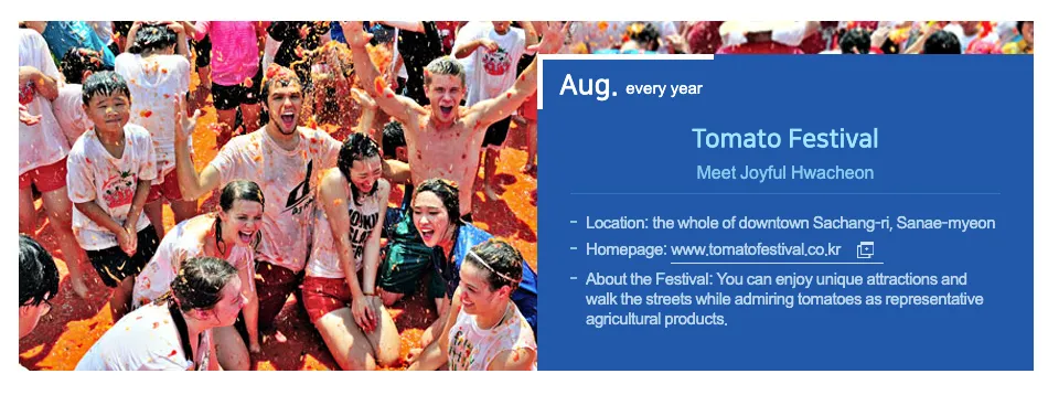 Tomato Festival