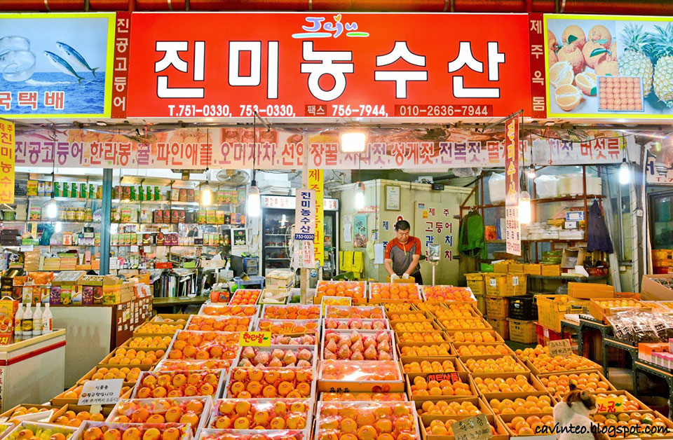 korvia-image-photo-tapdong-jeju-emerging-indie-art-district-dongmun-market